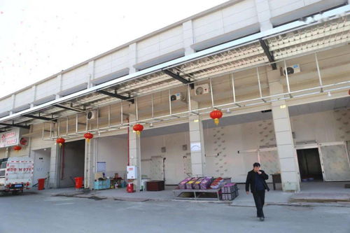 華南農產品批發市場春節銷售創佳績，金屬及金屬礦批發業務亮點頻現