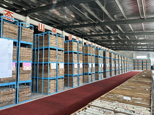 山東黃金探明國內最大單體金礦床，交出高質量發展新答卷